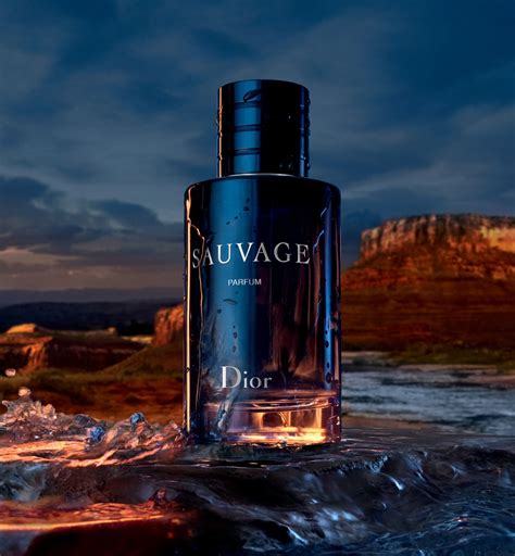 dior sauvage 60ml perfume shop|dior sauvage perfume cheapest price.